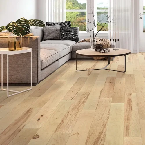 Kitchen with hardwood flooring